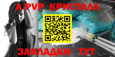 шишки Новодвинск