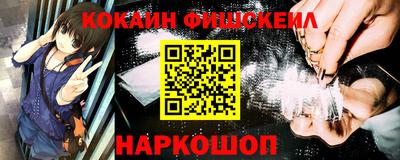 шишки Новодвинск