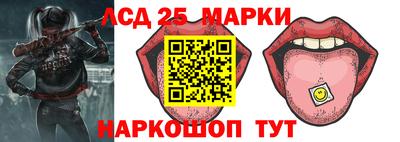 шишки Новодвинск