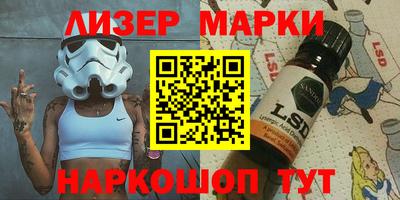 шишки Новодвинск