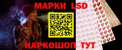 шишки Новодвинск