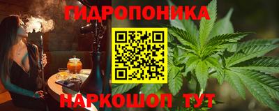 spice Новозыбков