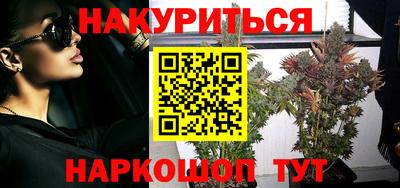 шишки Новодвинск