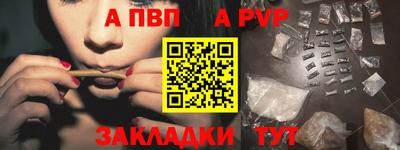 шишки Новодвинск