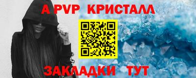 шишки Новодвинск