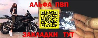 шишки Новодвинск